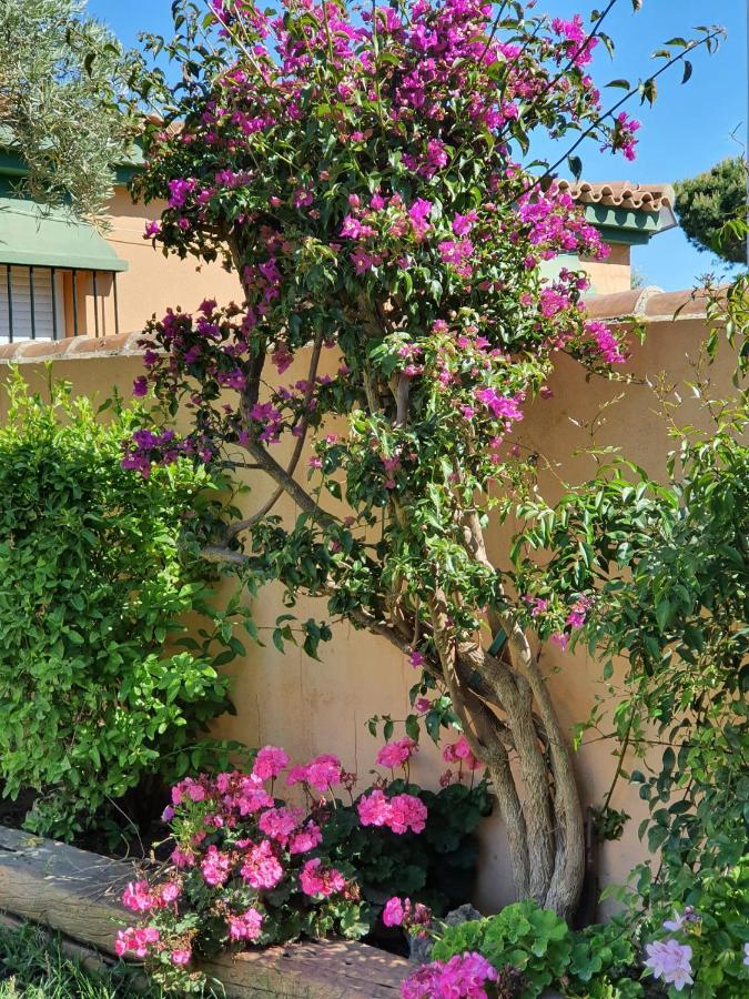 Villa Ostrero Chiclana de la Frontera Zewnętrze zdjęcie